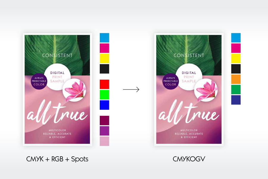 From Standard to Stunning: GMG Color Management & ECG